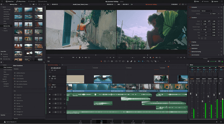 DaVinci Resolve UI