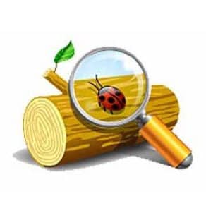 Event Log Explorer - NearFile.Com