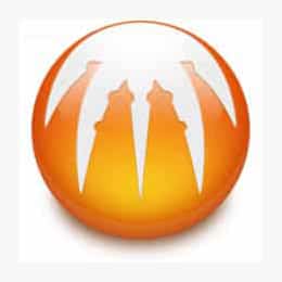 BitComet 1.65 - NearFile.Com