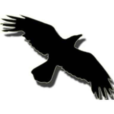 DataCrow - NearFile.Com