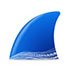 Wireshark - NearFile.Com