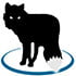 MetaFox - NearFile.Com