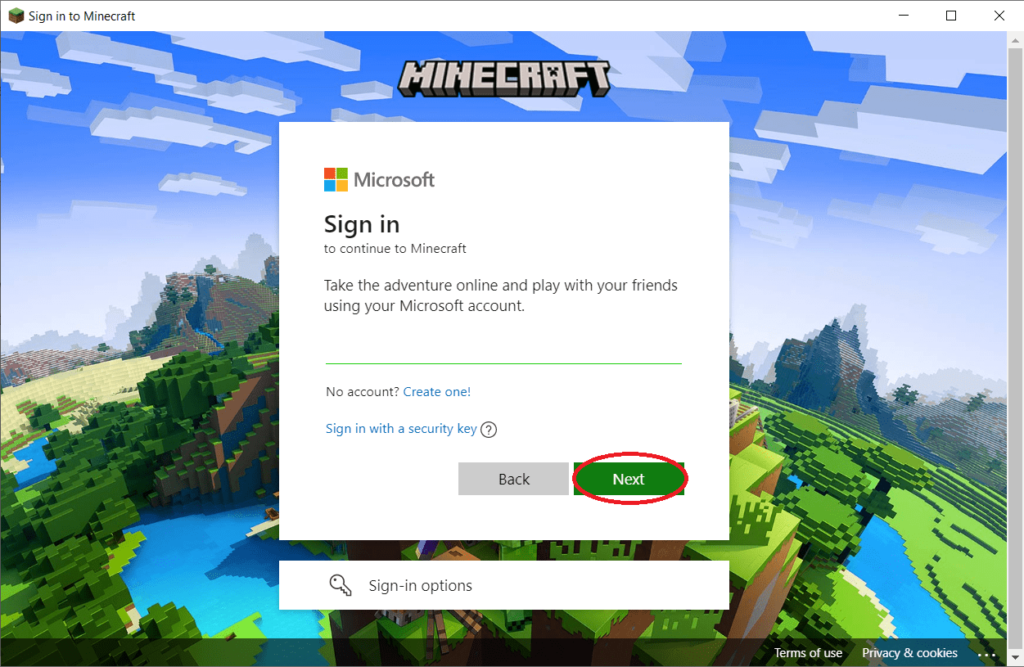 Write your Microsoft account