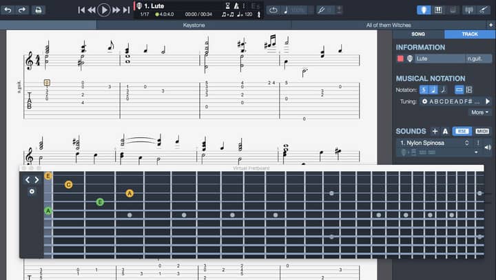 Tablature editing up to 9 and 10 strings in Guitar Pro
