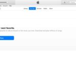 Find suitable musics for yourself from Apple iTunes Music Store