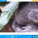Watch videos in different formats in RealPlayer